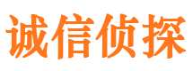 临安侦探社